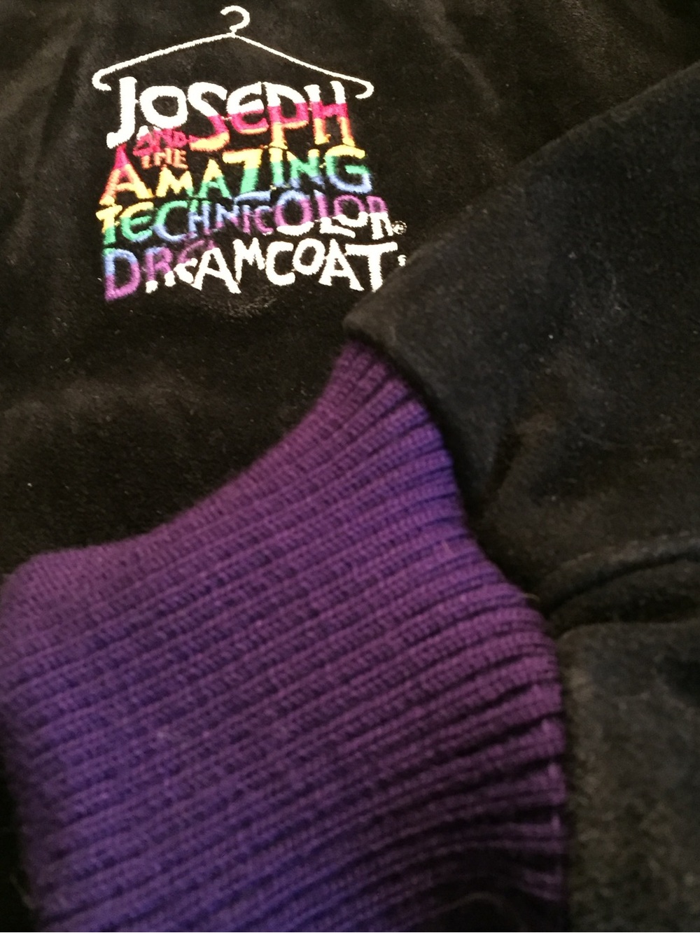 Collectible Joseph and the Amazing Technicolor Dreamcoat Canadian Cast Jacket - Picture 5 of 9